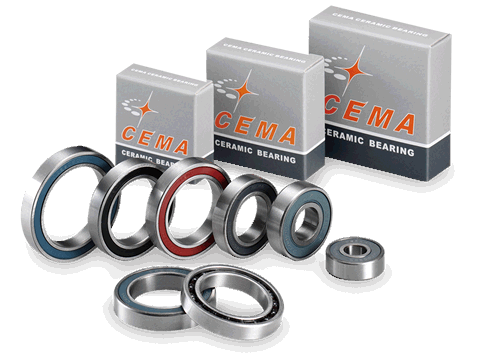 Wheel Hub Bearing Series Cema